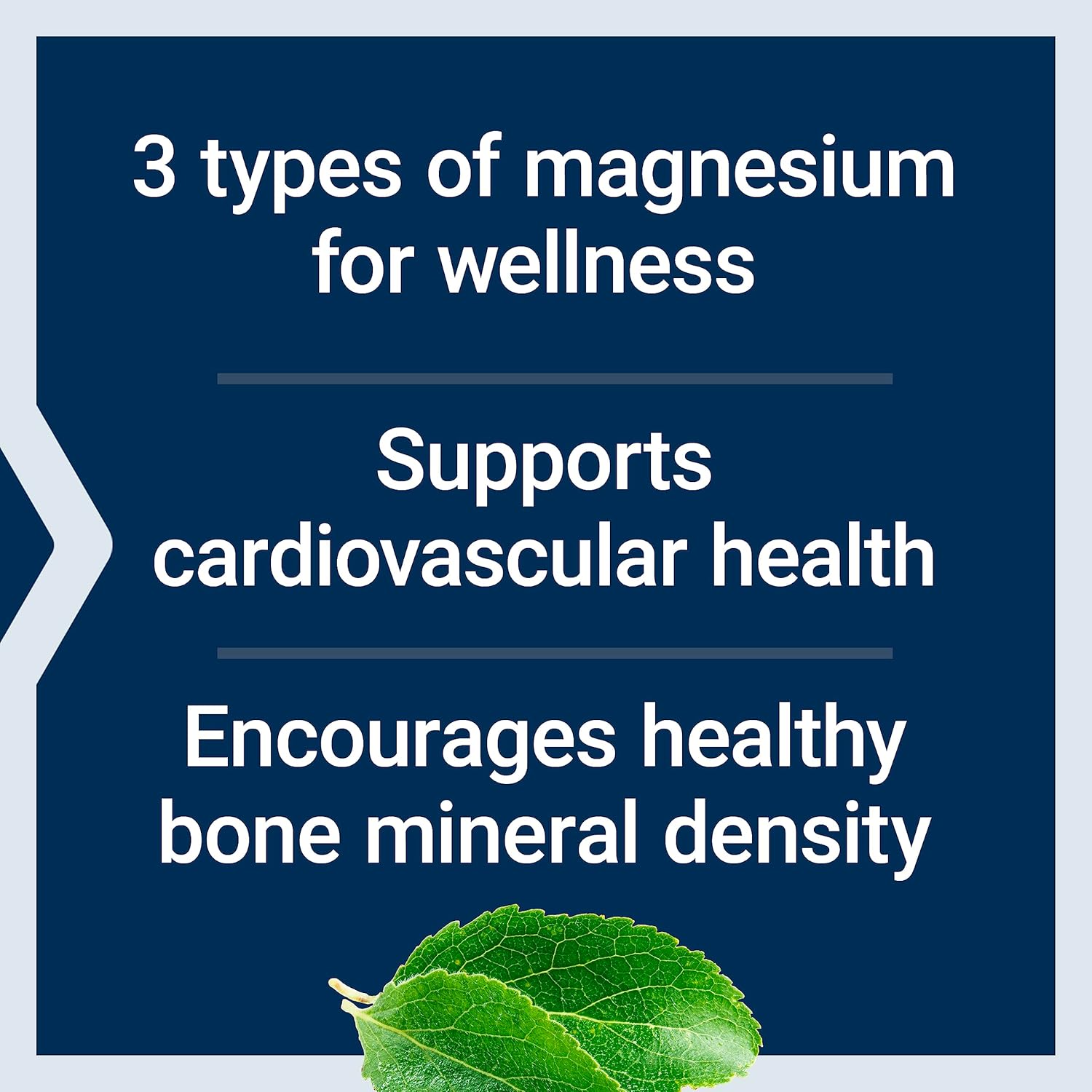 Life Extension Magnesium Caps 500 mg 100 Vegetarian Capsules