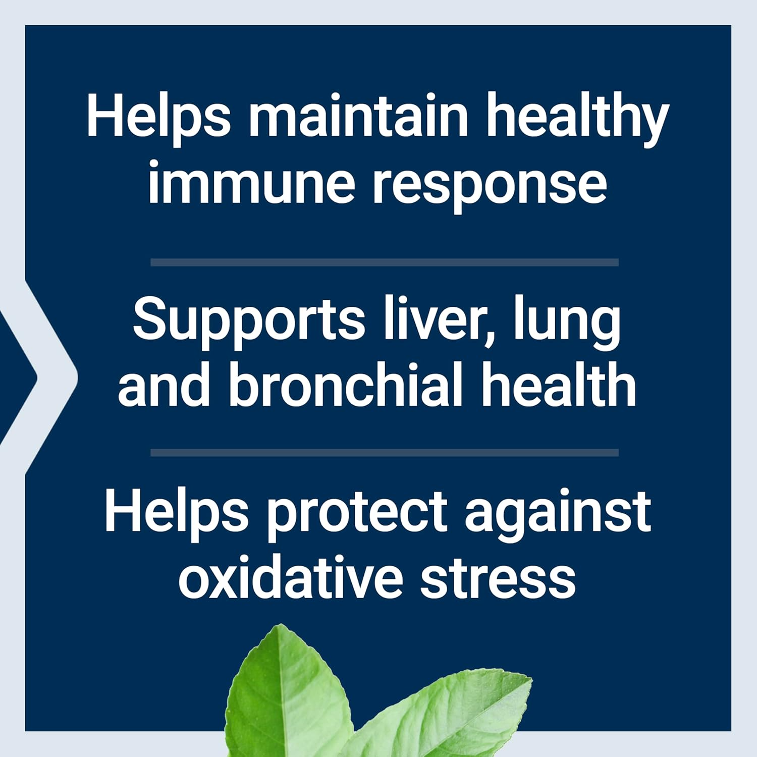 Life Extension N-Acetyl-L-Cysteine 600 mg, 60 Capsules