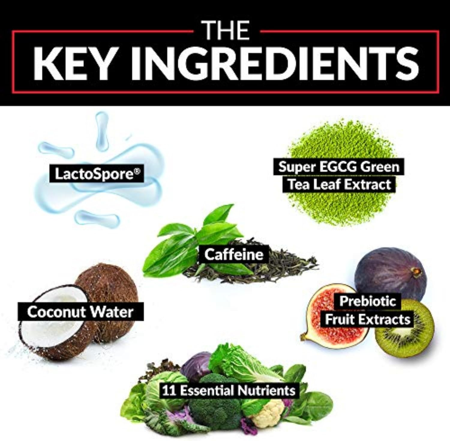 Force Factor ProbioSlim Weight Loss Essentials, 120 Vegetable Capsules